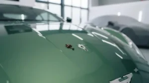 A specific section of the protected green paintwork, showing how bird lime and tree sap sit on the surface without etching the clear coat, highlighting the protective barrier.